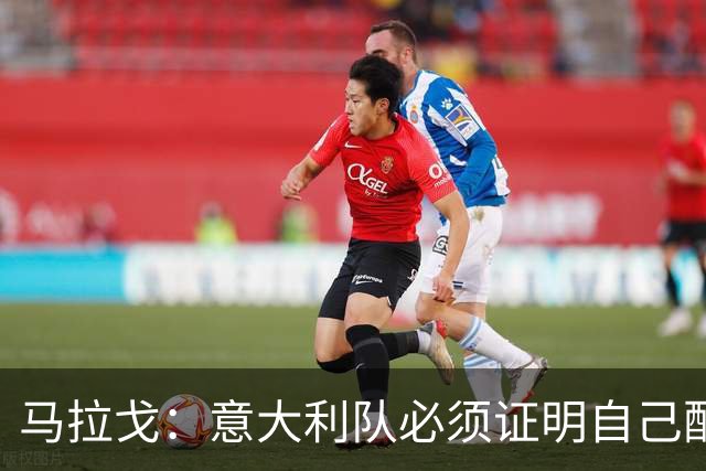 马拉戈：意大利队必须证明自己配得上大家给予的信任